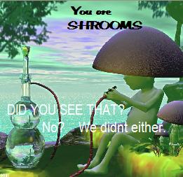 shrooms